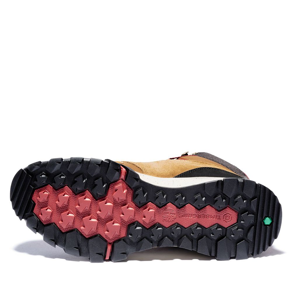 Botas de Caminhada Masculino - Timberland Garrison Trail Impermeavel Mid - BXCVW0796 - Marrom/Pretas